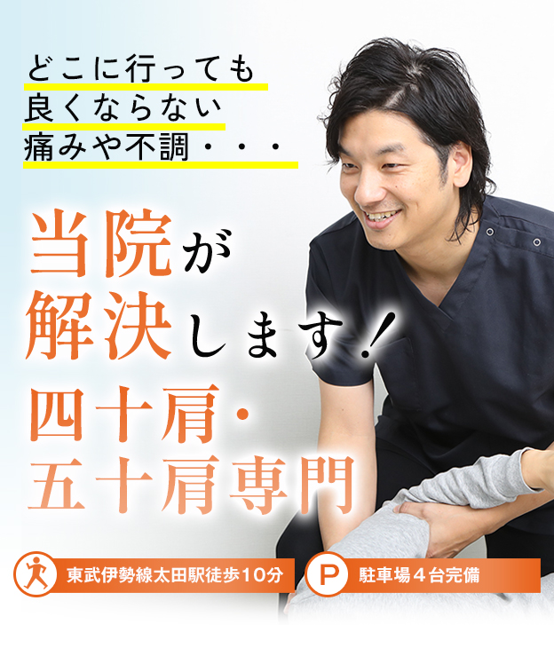 ケース無し】回復整体 五十肩・四十肩症状別対応法パート1〜4 - DVD