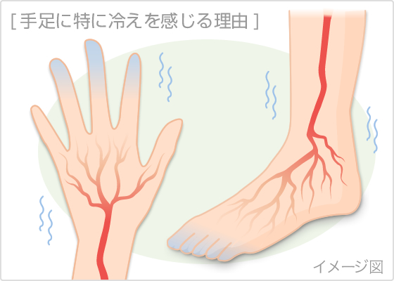 末端冷え症の原因と改善方法②